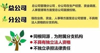 注册子公司好还是分公司好